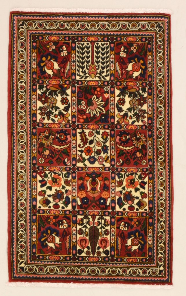 Bakhtiar Tappeto 60x100 (Iran) Annodato A Mano