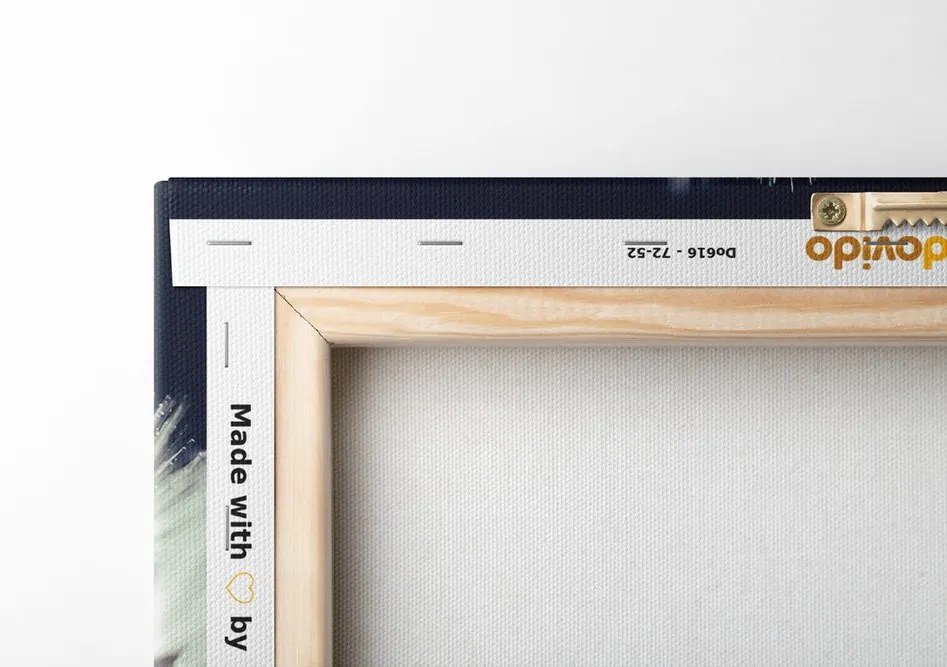 Quadro su tela – Dente di leone su sfondo scuro