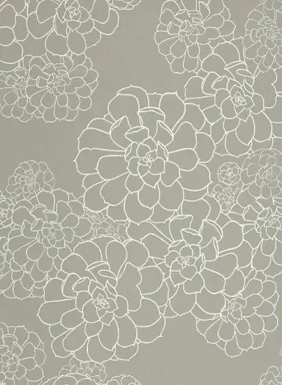 Paint & Paper Library Carta da parati Aeonium - Steel