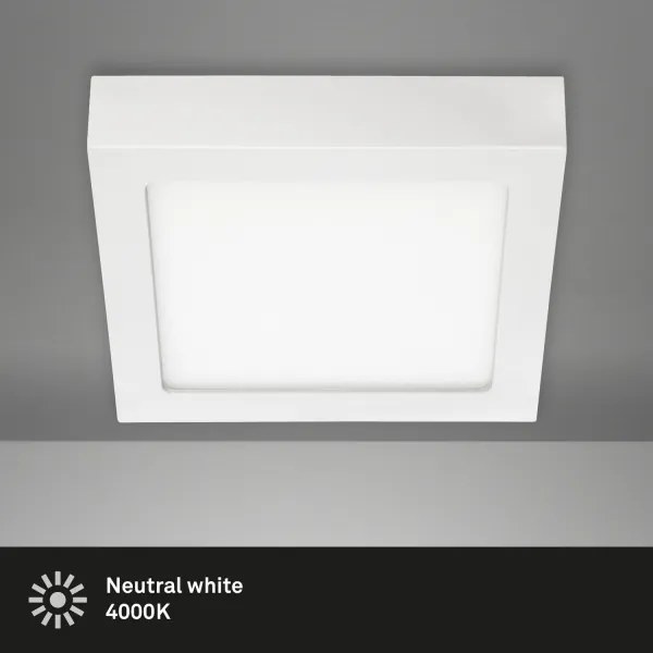 Briloner 7123-416 - Plafoniera LED FIRE LED/12W/230V bianco