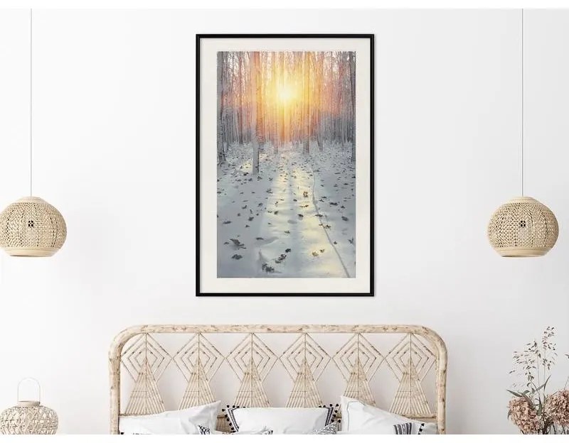 Poster Frosty Sunset