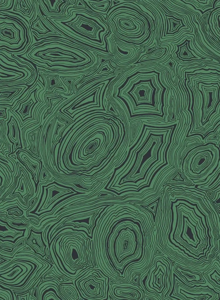 Cole & Son Carta da parati Malachite - Emerald and Black