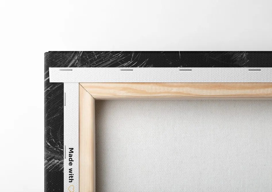 Quadro su tela – Spiaggia Anse Source in bianco e nero