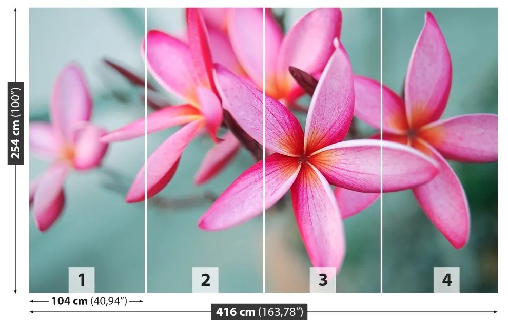 Carta da parati Plumeria rosa 104x70 cm