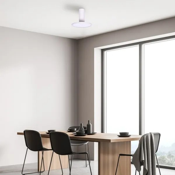 Rabalux 71328 - Plafoniera LED OVIDIA LED/20W/230V 3000K bianca