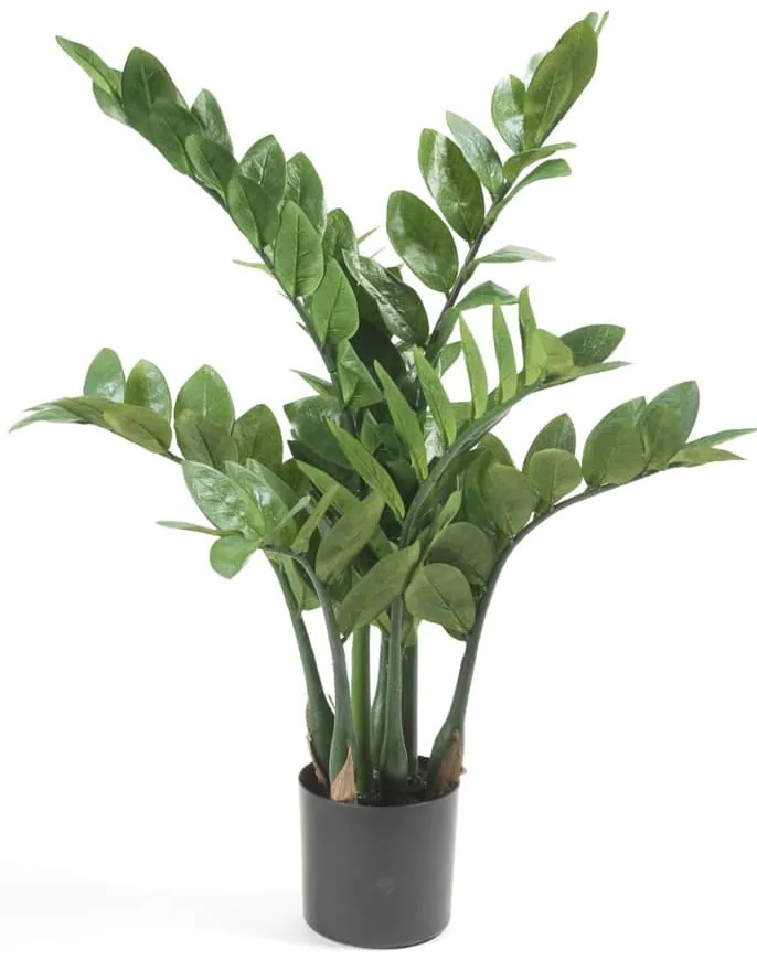 Zamioculcas Artificiale 70 Cm /