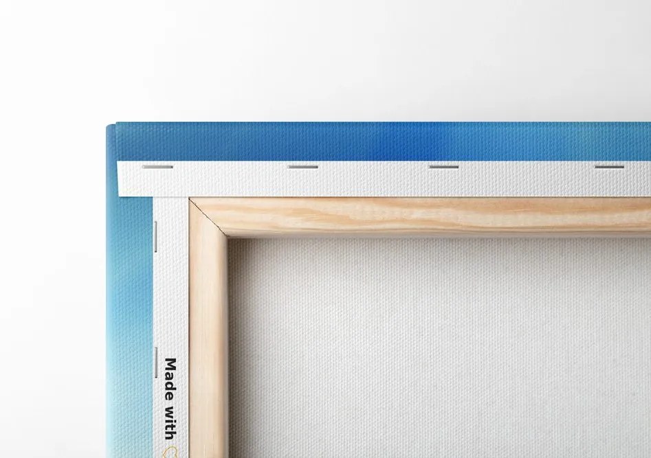 Quadro su tela – Papavero sul prato