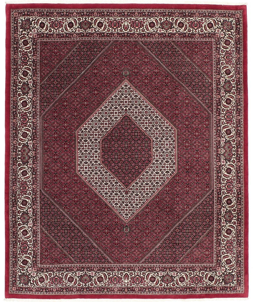 Bidjar Tappeto 310 x 250 (Iran) Annodato A Mano
