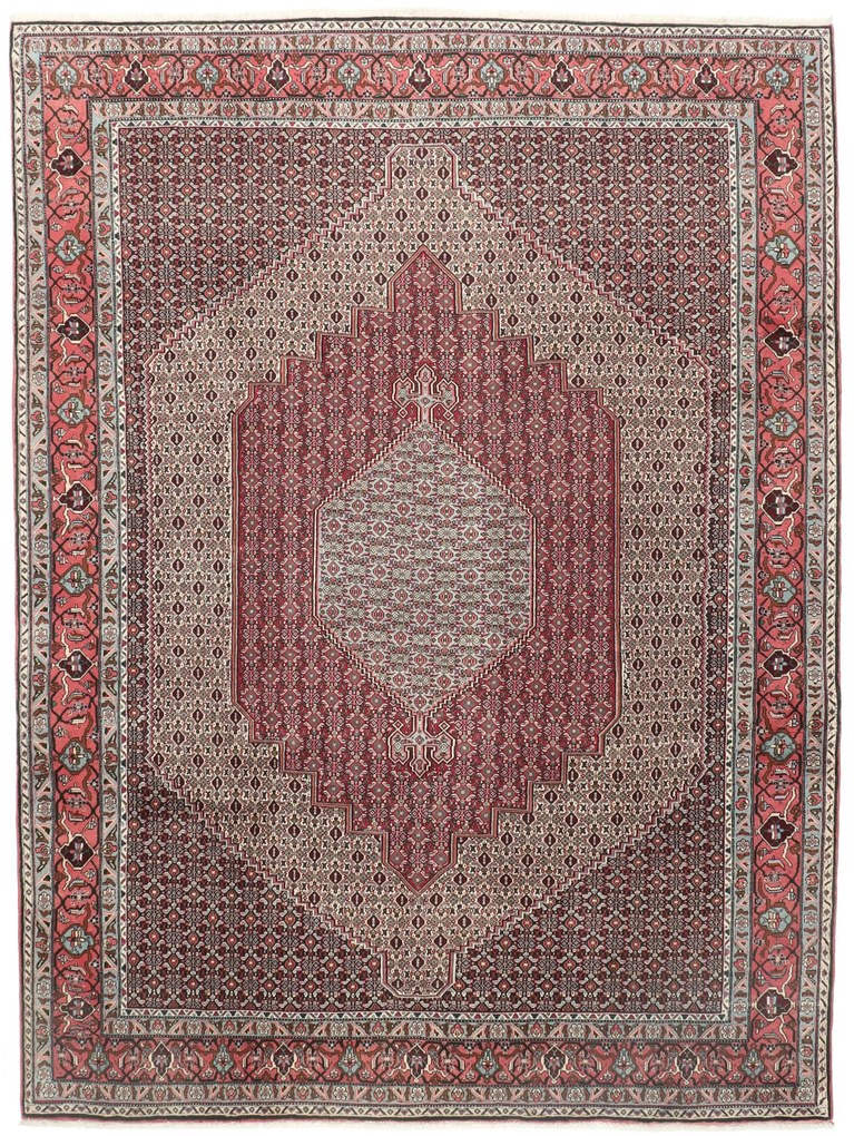 Senneh Tappeto 250x330 (Iran) Annodato A Mano