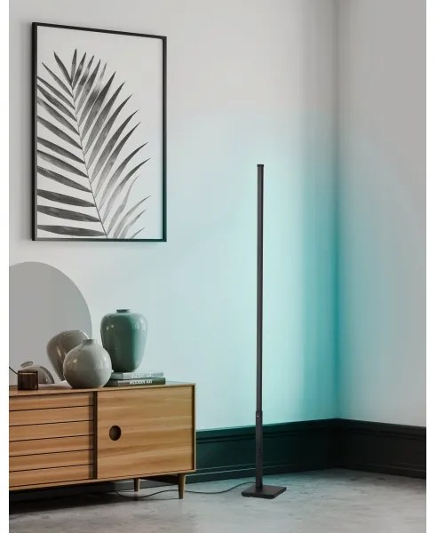 Eglo 75654 - Lampada da terra LED RGB dimmerabile LED/13,5W/230V 2700-6500K + tc