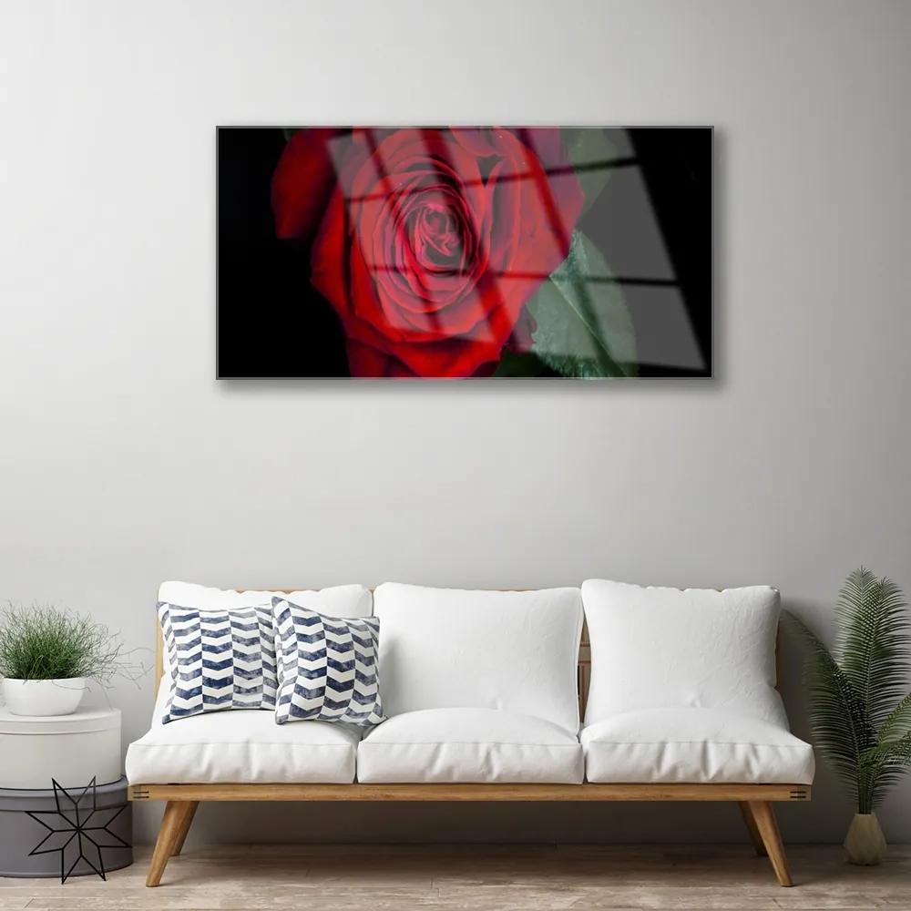 Quadro in vetro Rosa da parete 100x50 cm
