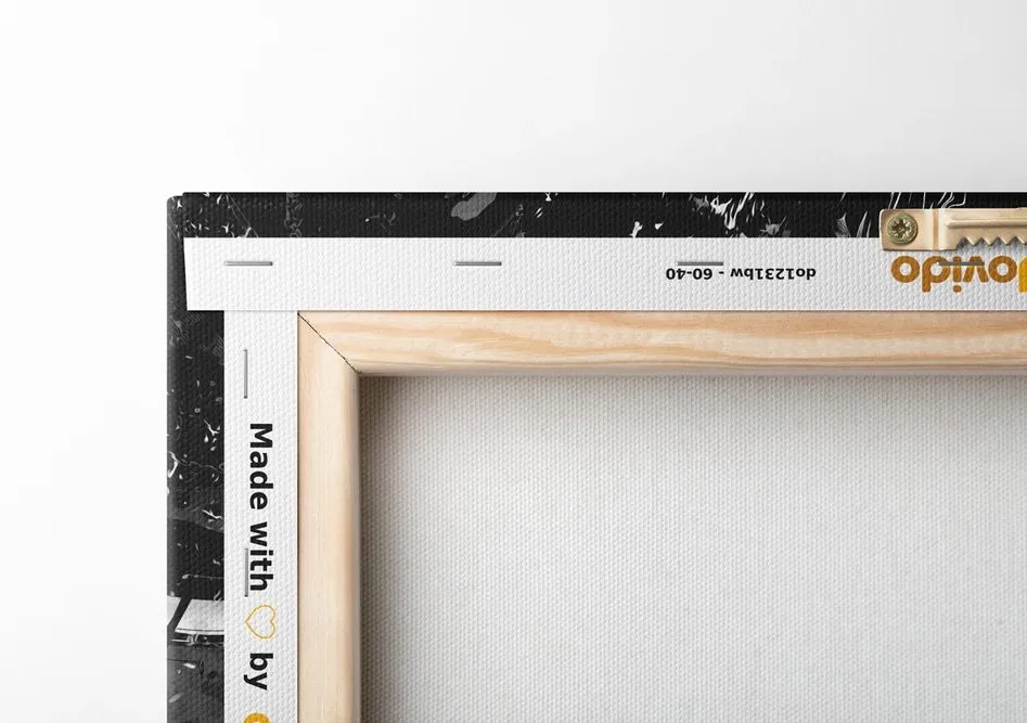 Quadro su tela – Testa di leone in bianco e nero