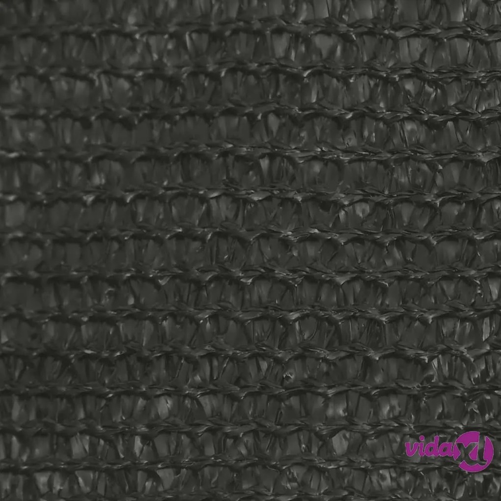 vidaXL Vela Parasole 160 g/m² Antracite 4x4 m in HDPE