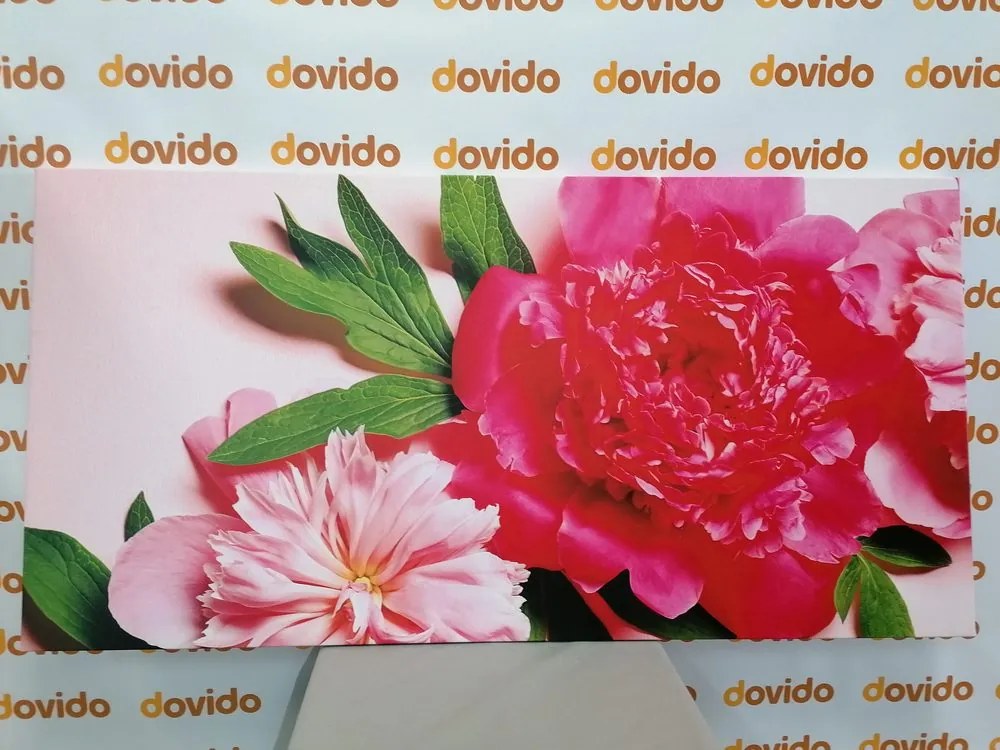 Quadro su tela – Peonie in rosa