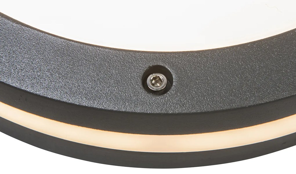 Lampada da parete e soffitto intelligente grigio scuro con Wi-Fi A60 - Glow