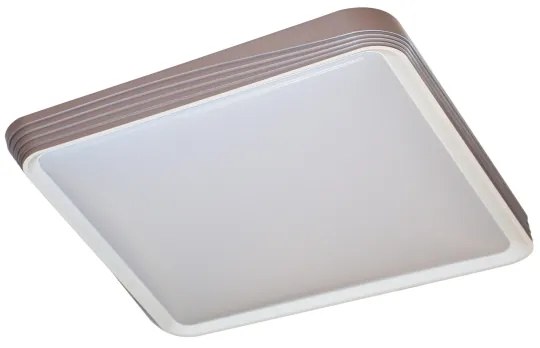 Rabalux 71166 - Plafoniera LED DRUZOR LED/40W/230V 3000K