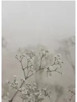 Sandberg Wandbild Julia - Spring Green