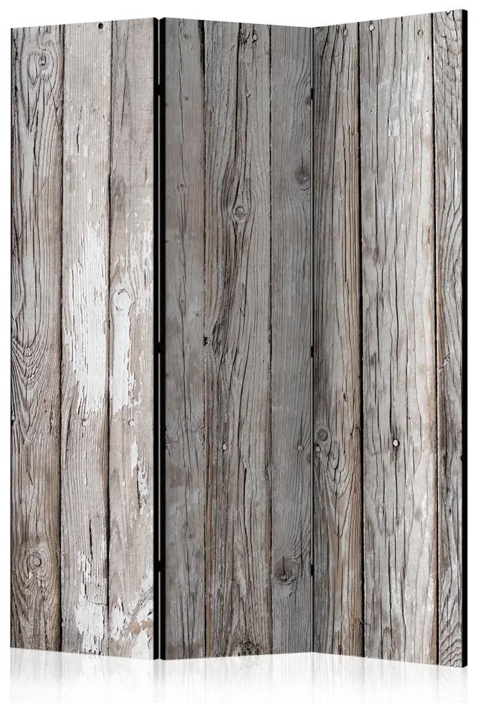 Paravento separè Legno scandinavo - texture di tavole di legno naturalmente grigie