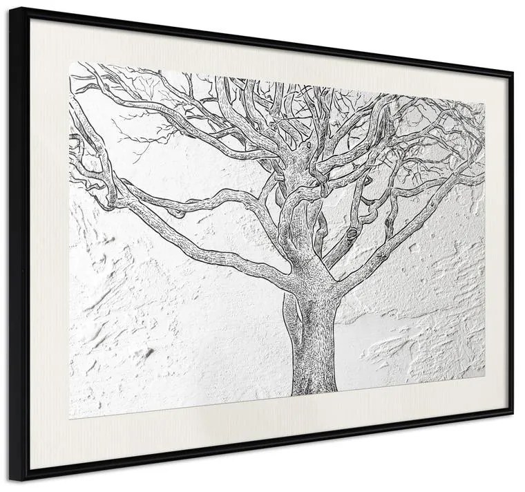 Poster  Tangled Branches  Cornice Quadri Cornice nera con pass-partout, Larghezza x Altezza Home decor 30x20