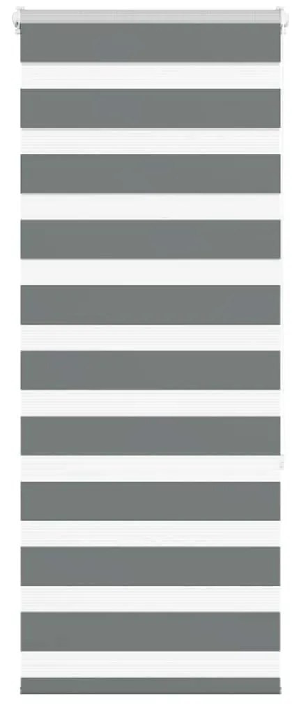 Tenda A Rullo Zebra Larghezza Tessuto 50,9 Cm Poliestere /