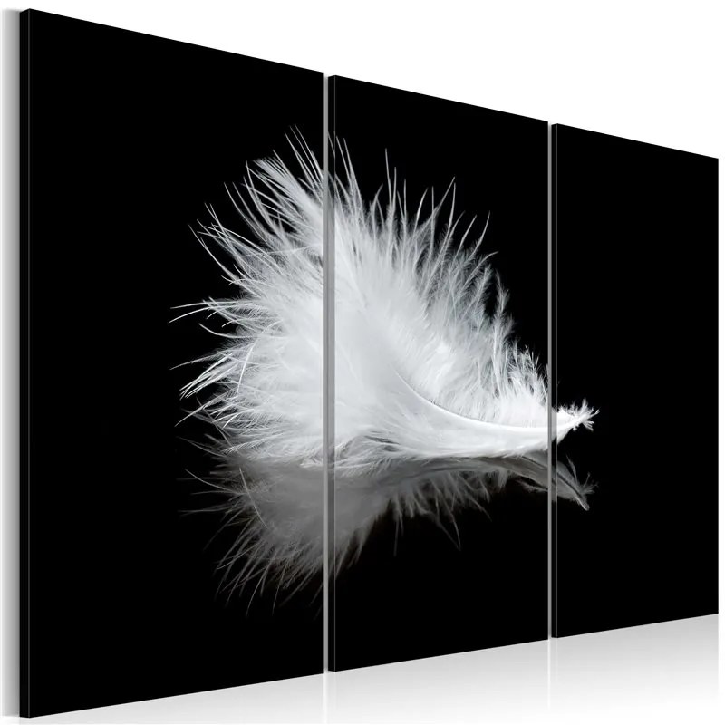 Quadro Piumetta  Colore bianco e nero, Dimensioni e Misure 60x40