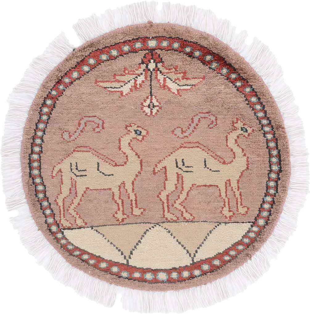 Agra Tappeto 50 x 50 (Indian) Annodato A Mano