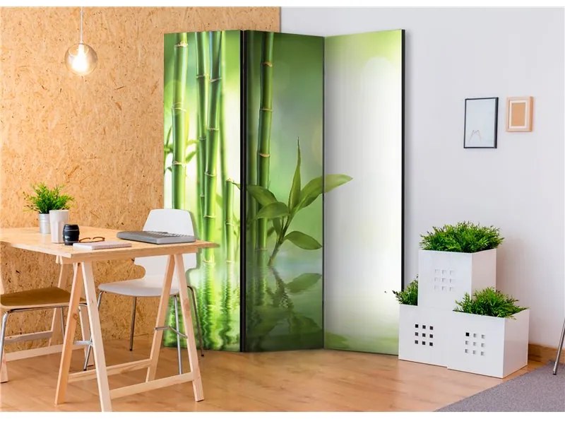 Paravento Green Bamboo [Room Dividers]