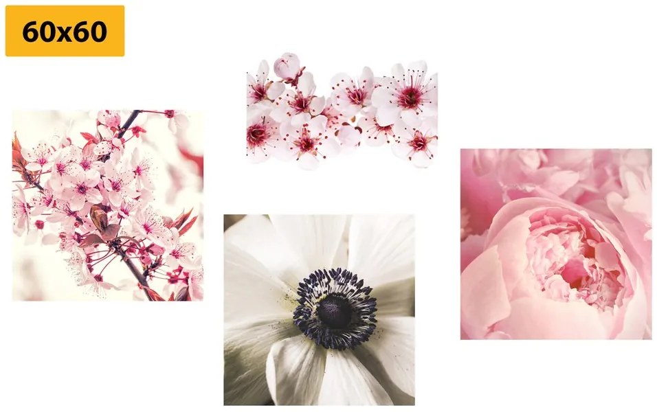 Set di quadri – Delicatezza dei fiori