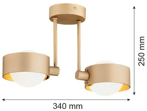 Argon 7215 - Lampadario da bagno a sospensione con supporto rigido MASSIMO PLUS 2xG9/6W/230V IP44 oro