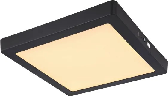 Globo 12374-24 - Plafoniera LED DINO LED/22W/230V