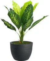 Pianta Artificiale Dieffenbachia 90 cm Con Vaso Nicoli Hera 40 Incluso - colore: Elegance Antracite - P03-V08-P