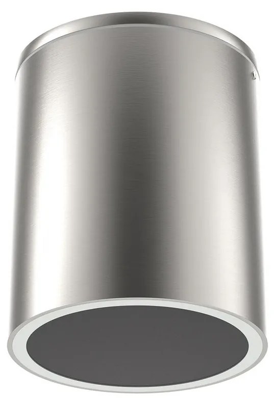 Applique da soffitto Cilindrica PAR30 IP54 in Alluminio e Vetro INOX