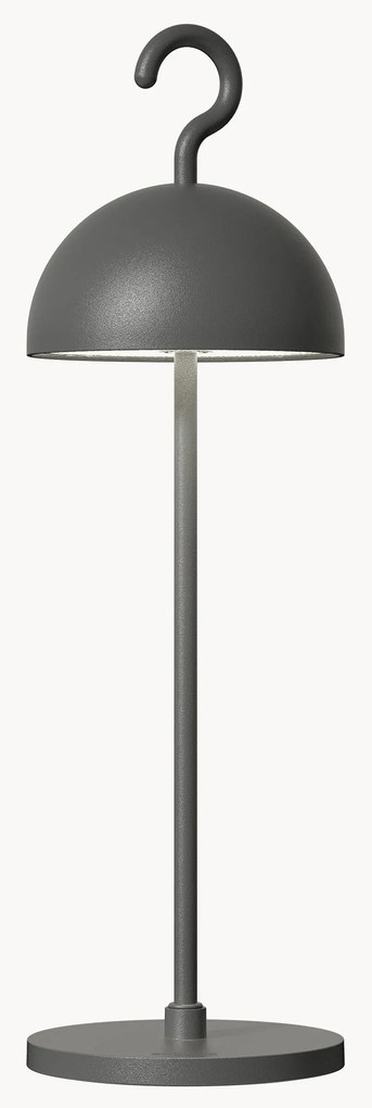 Lampada decorativa a LED dimmerabile In & Outdoor con batteria Hook