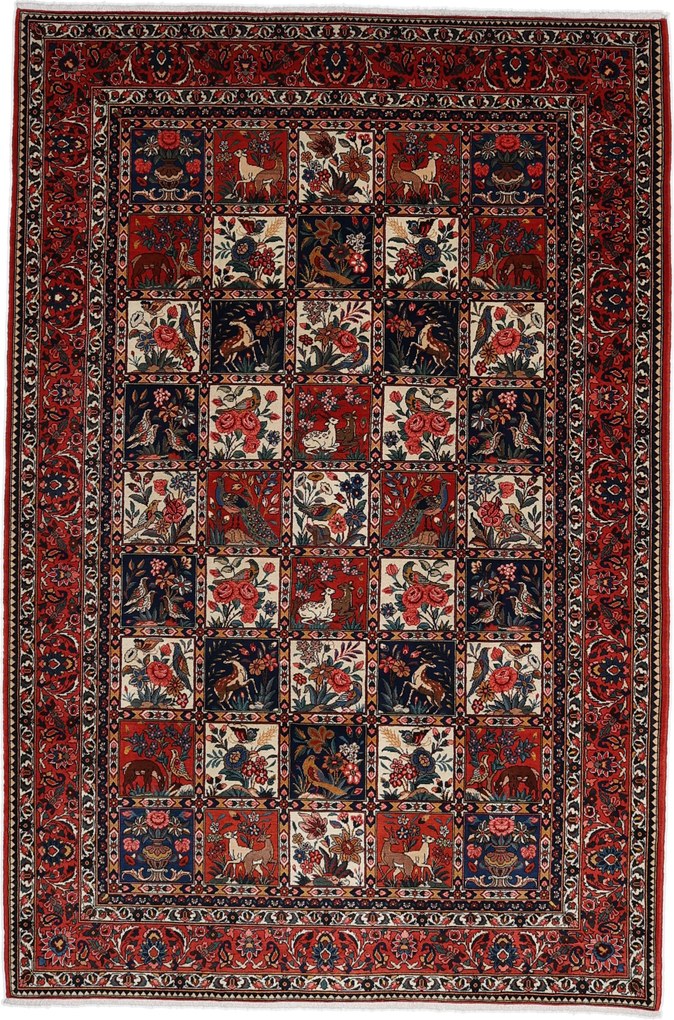Bakhtiar Tappeto 220 x 320 (Iran) Annodato A Mano