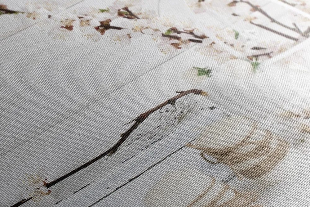 Stampa su tela – Natura morta rustica
