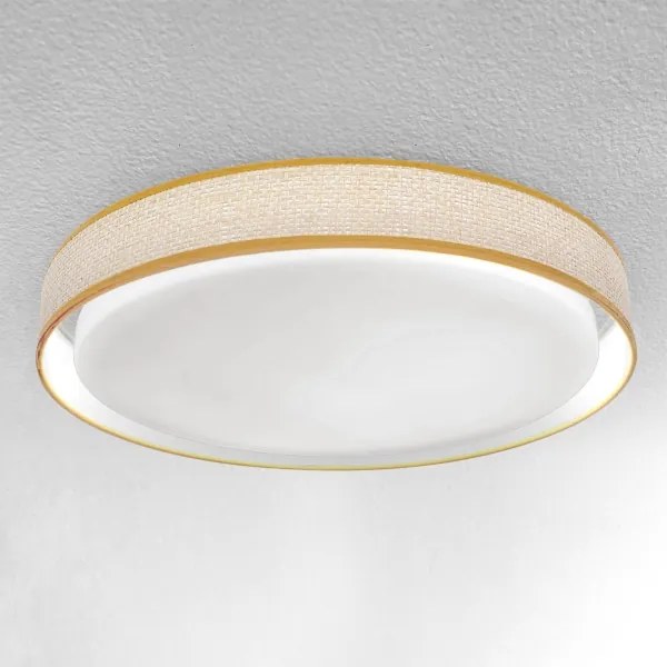 Brilagi - Lampada da soffitto dimmerabile KIANIA LED/48W/230V 3000-6500K + DO