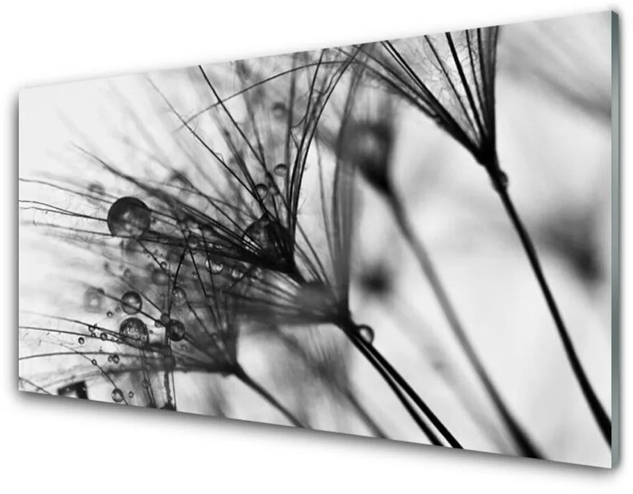 Quadro acrilico Grafica di piante di astrazione 100x50 cm