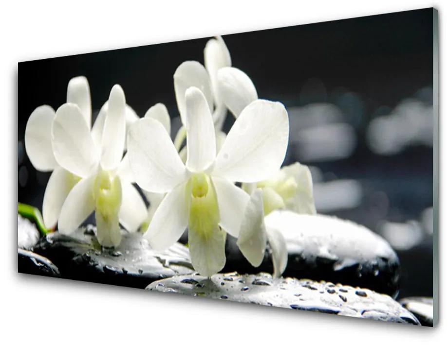 Quadro acrilico Pietre, fiori di orchidea 100x50 cm