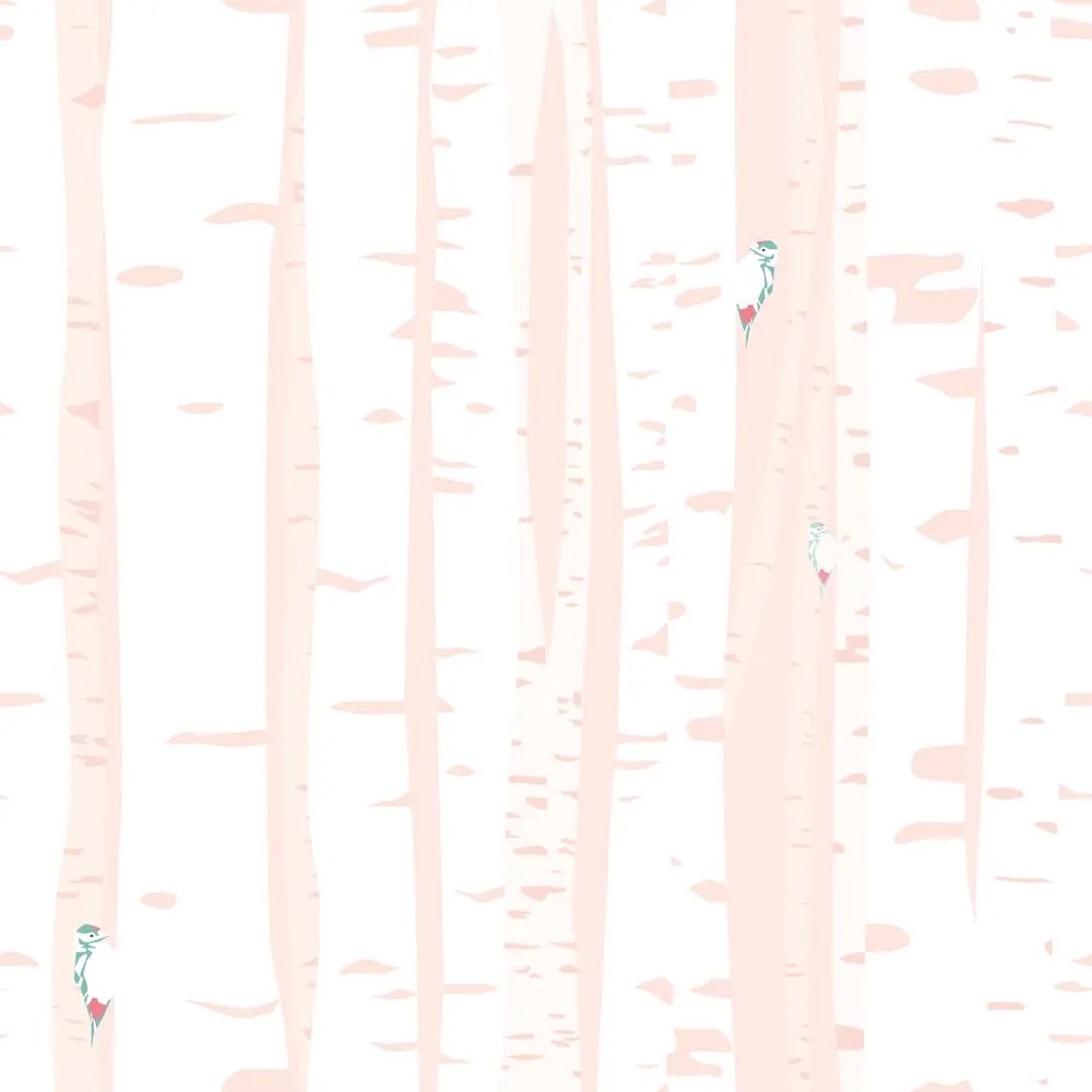 Carta da parati – Alberi di betulla rosa
