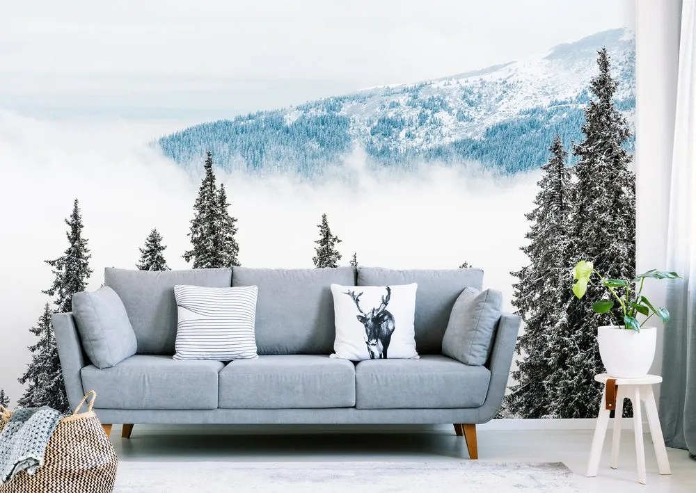 Fotomurale – Alberi di pino innevati