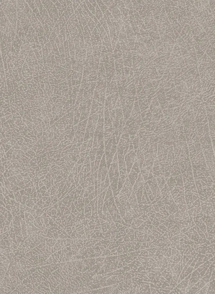 Elefantenhaut Tapete Skin 5 von Eijffinger - Grau