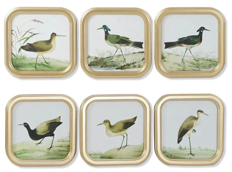 Quadro DKD Home Decor Uccelli Cottage 30 x 2 x 30 cm (6 Unità)