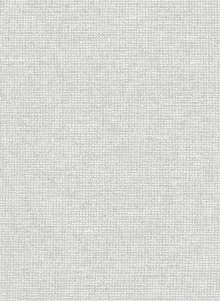 Essentials Carta da parati Chanderi - Moonshine