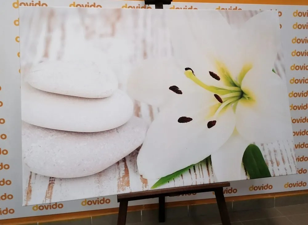 Quadro su tela – Giglio e pietre da massaggio in bianco