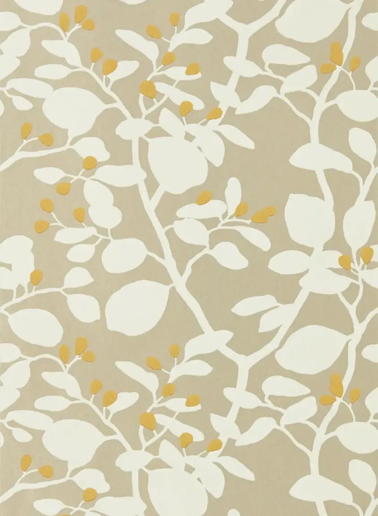 Harlequin Carta da parati Ardisia - Soft Focus/ Oyster/ Gold