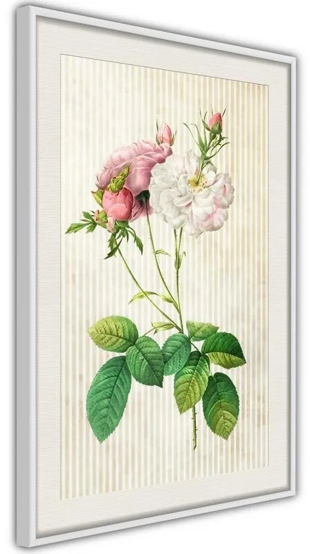 Poster  Romance I  Cornice Quadri Cornice nera con pass-partout, Larghezza x Altezza Home decor 20x30