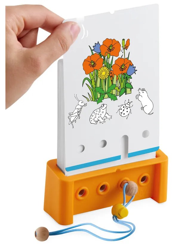 Logic! CASE Extension Set – Natura - 6+