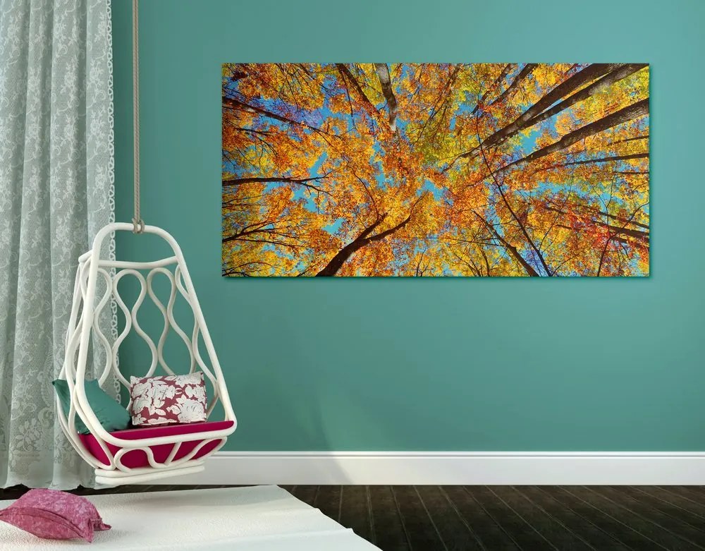 Quadro su tela – Corone autunnali degli alberi
