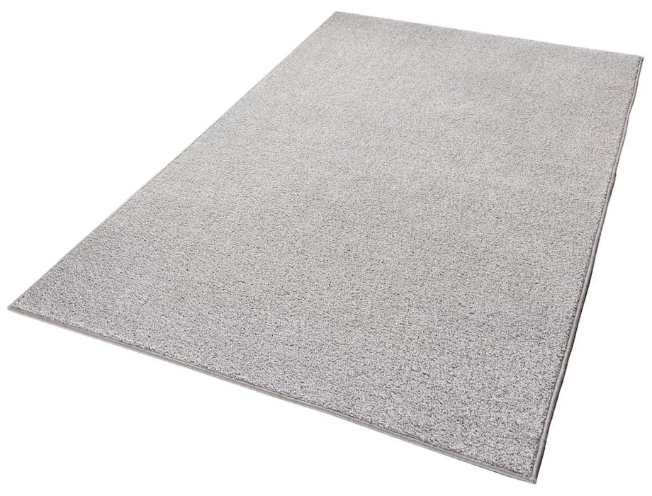 Tappeto grigio chiaro , 160 x 240 cm Pure - Hanse Home