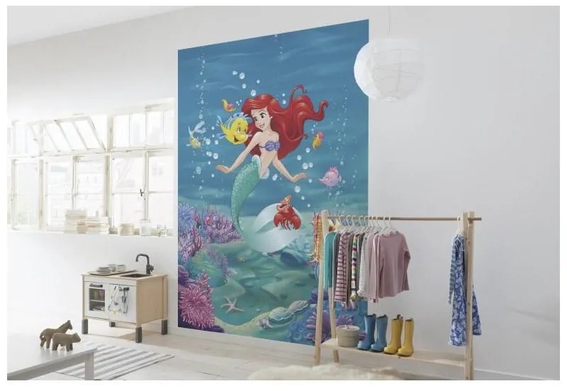 Fotomurale Ariel, multicolore